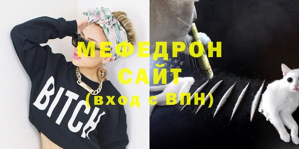 крисы Козельск