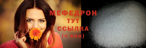 крисы Козельск