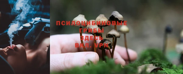 mdpv Козловка