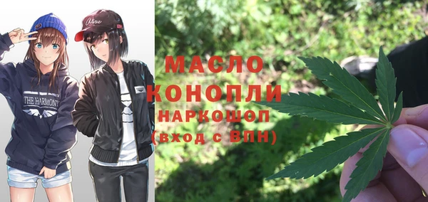 крисы Козельск