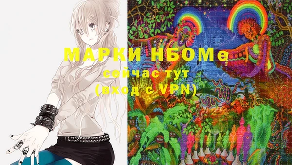 крисы Козельск