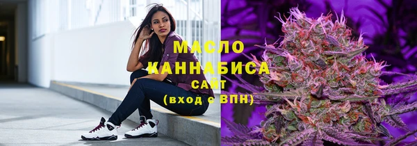 крисы Козельск