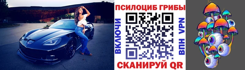 гидра сайт  Славск  Галлюциногенные грибы Cubensis 